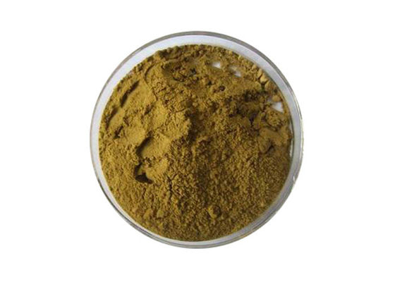 ヘルスケアのための薬剤の等級のイチョウのビロバのエキスの粉 サプライヤー