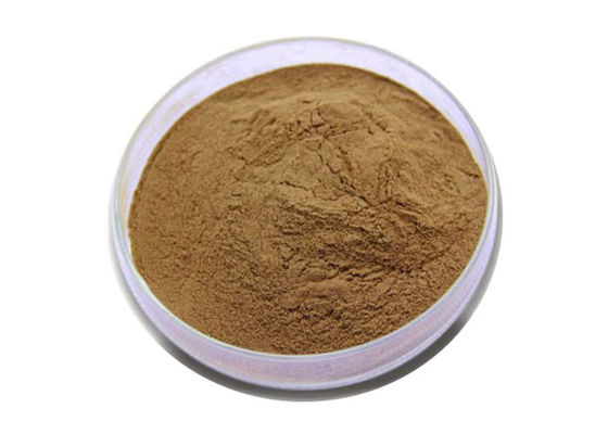 ヘルスケアのための薬剤の等級のイチョウのビロバのエキスの粉 サプライヤー