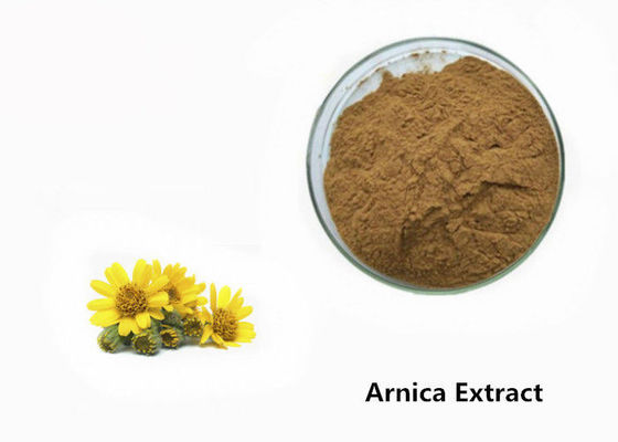 Arnicaの植物のエキスの粉 サプライヤー