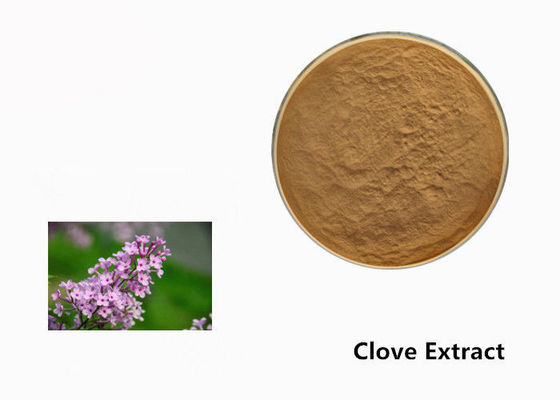 食品添加物のためのブラウンのクローブの花の植物のエキスの粉 サプライヤー