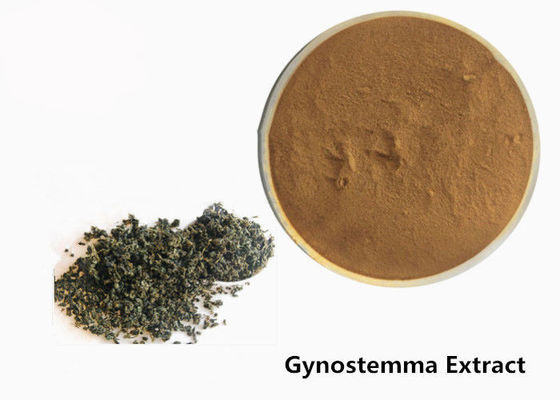 食品等級の反腫瘍の草のGynostemmaのエキスの粉 サプライヤー