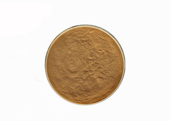 HericumのErinaceus 10%の多糖類のきのこのエキスの粉 サプライヤー