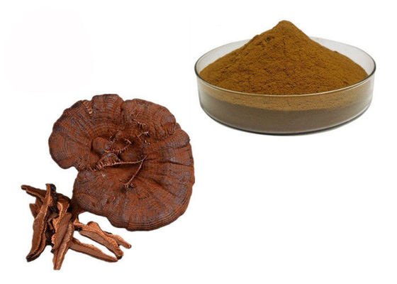 50%純度のGanoderma Lucidum Reishiのきのこのエキスの粉 サプライヤー