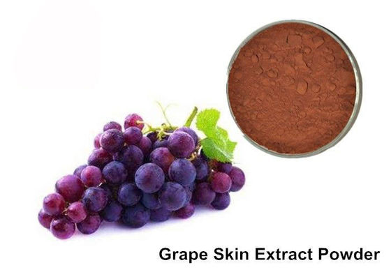 25%のアントシアニン純粋なGrapeseed/ブドウの皮のエキスの粉 サプライヤー