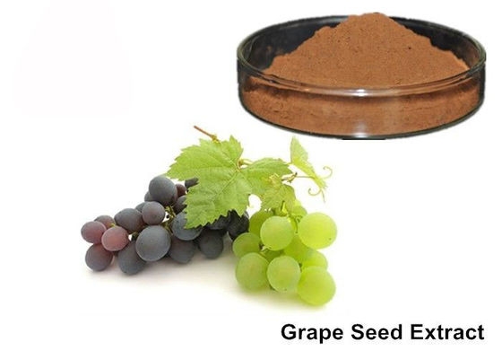 25%のアントシアニン純粋なGrapeseed/ブドウの皮のエキスの粉 サプライヤー